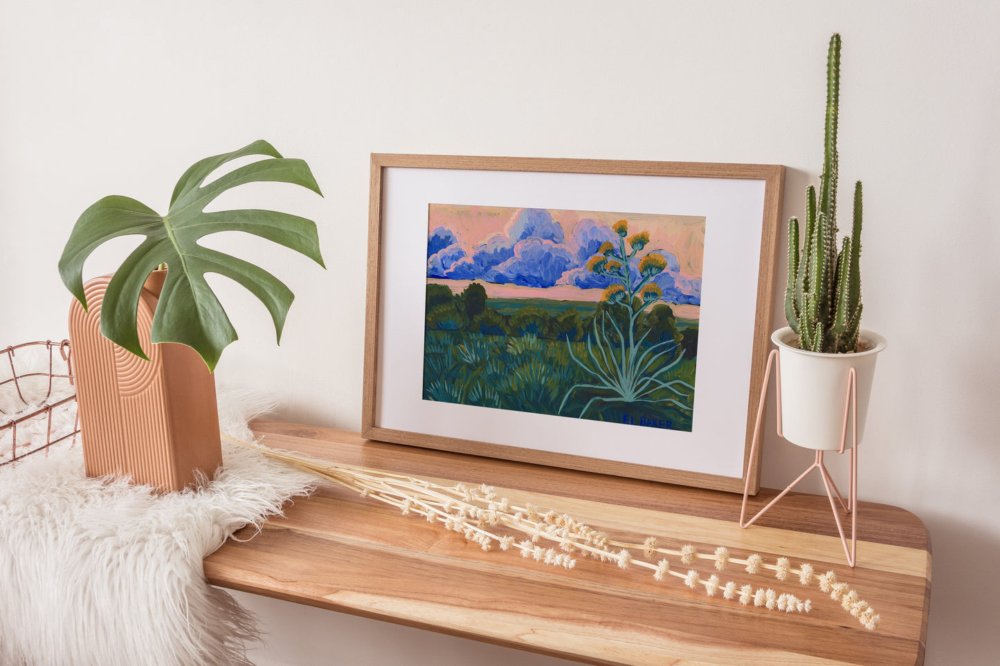 Sunset Century Plant Print