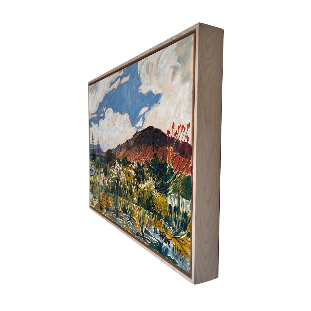 Big Bend National Park Collage Original Artwork - FRAMED, 18x24" - El Baker Art