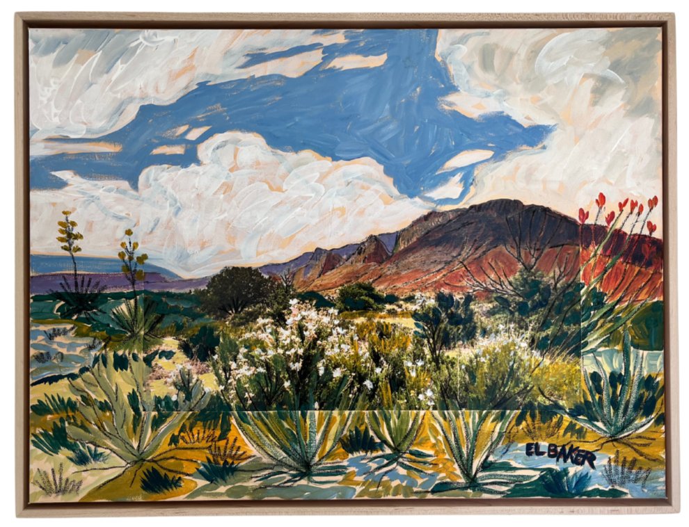 Big Bend National Park Collage Original Artwork - FRAMED, 18x24" - El Baker Art