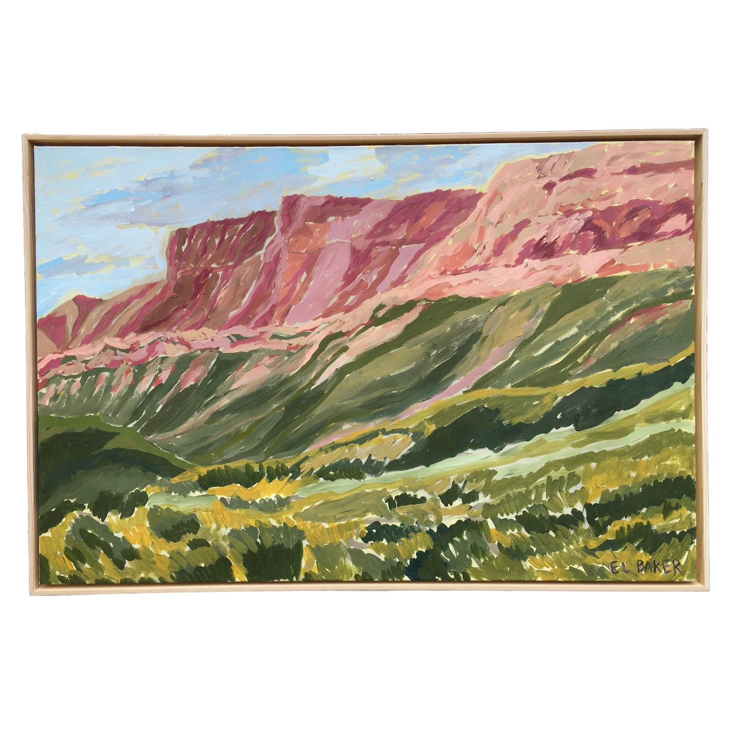 Big Bend National Park Early Summer Original Artwork - El Baker Art