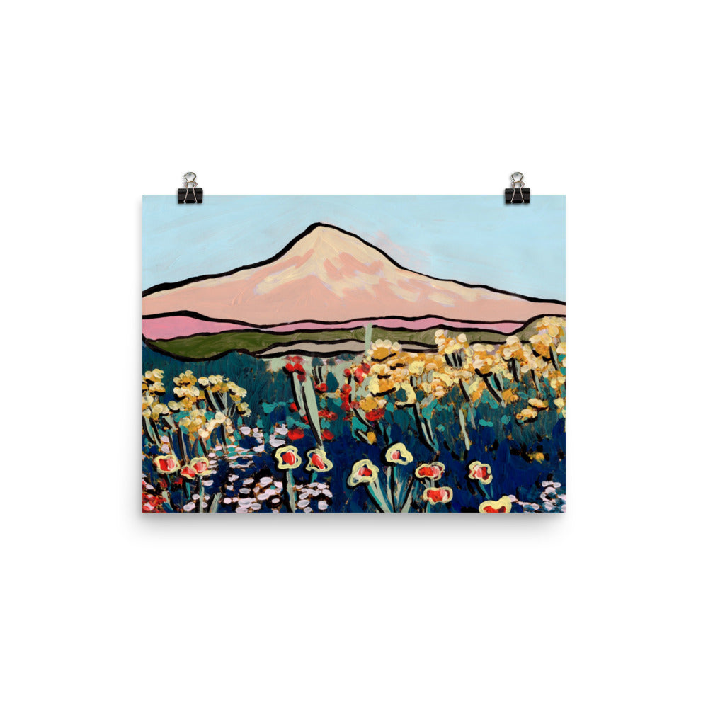 Colorado Wildflower Print