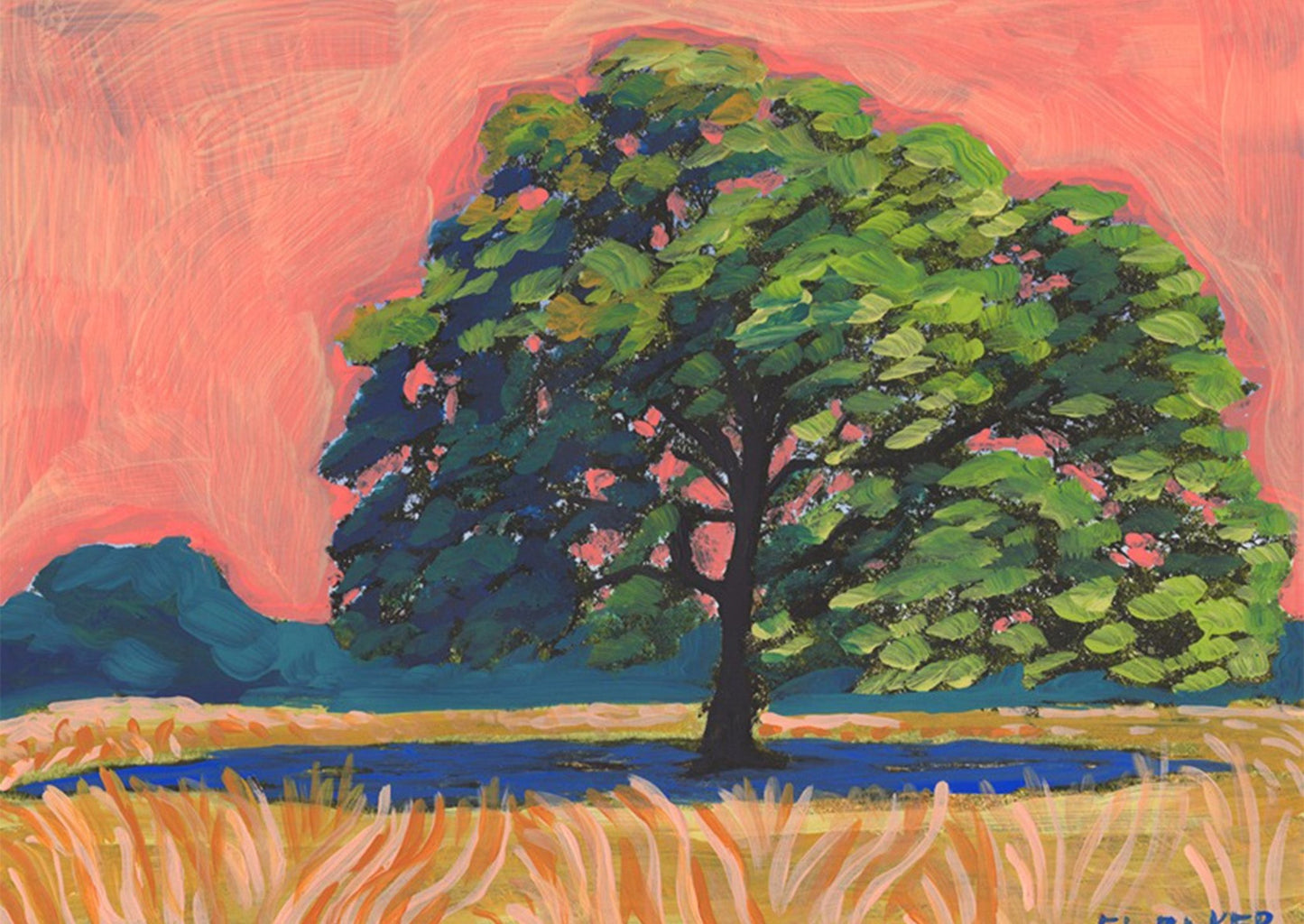 Sunset Texas Live Oak Tree Print - El Baker Art