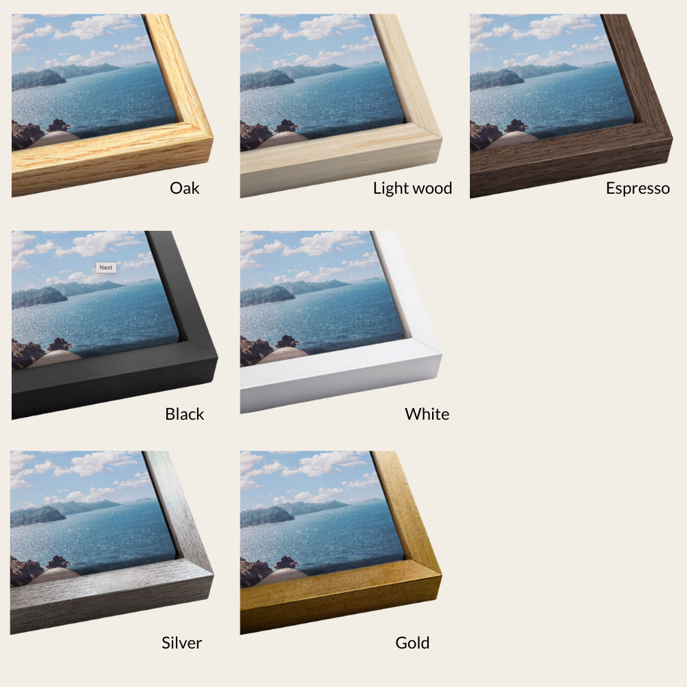 a collection of six different framed pictures, each with a unique color and frame style, arranged in a grid.