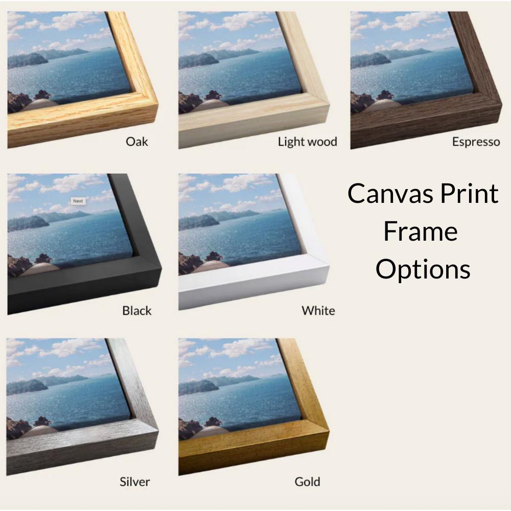 a collection of six different framed prints, each with a unique color and frame style, showcasing various canvas print options.