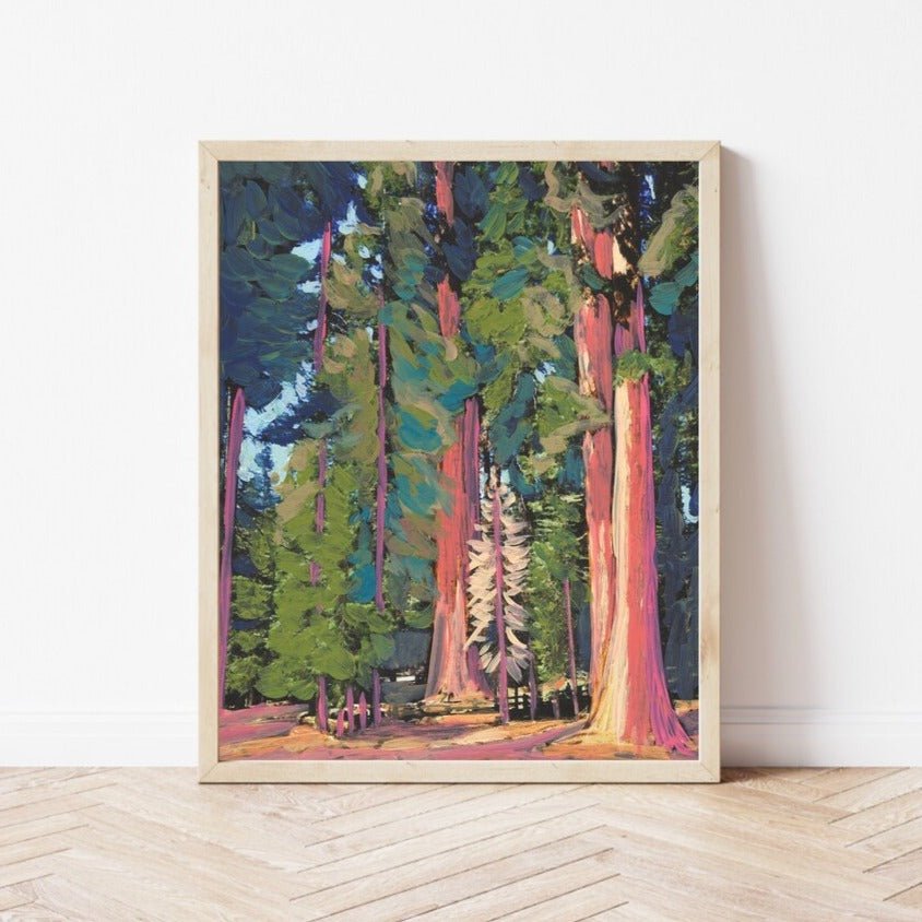 California Redwood National Park Travel Print - El Baker Art