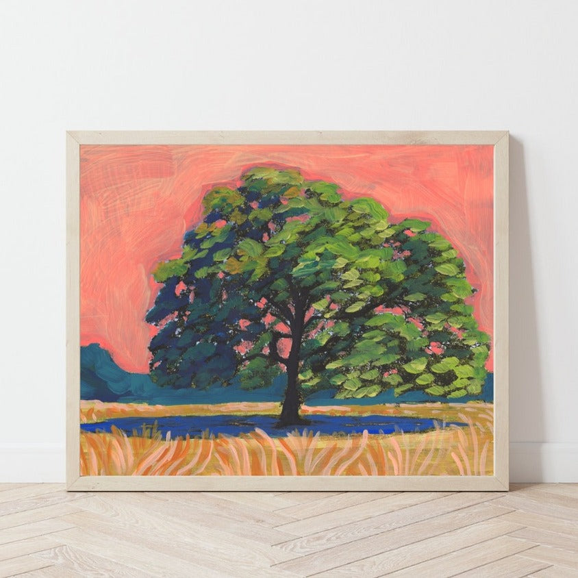 Sunset Texas Live Oak Tree Print