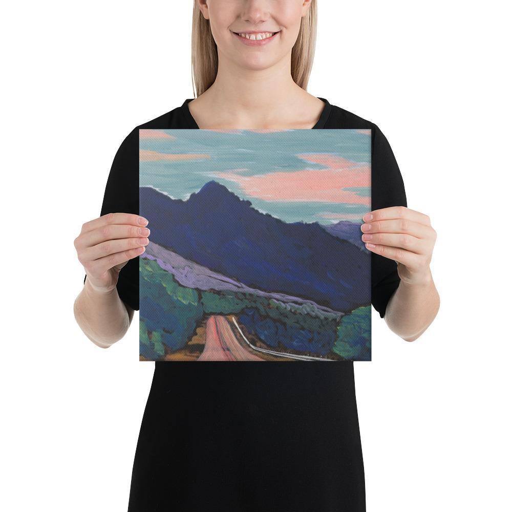 Big Bend Highways West Texas Canvas Print