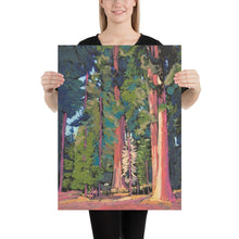 Load image into Gallery viewer, California Redwood National Park Travel Print
